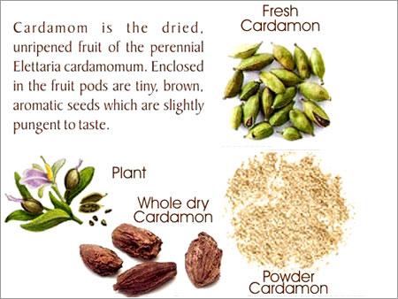Cardamom