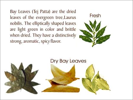 Bay Leaves