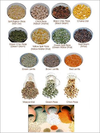 Pulses & Grams