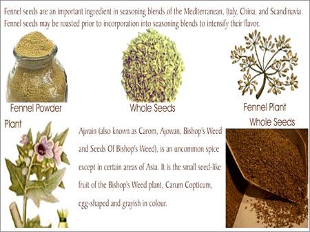 Fennel & Ajwain