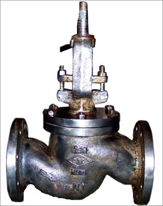 SS Globe Valve