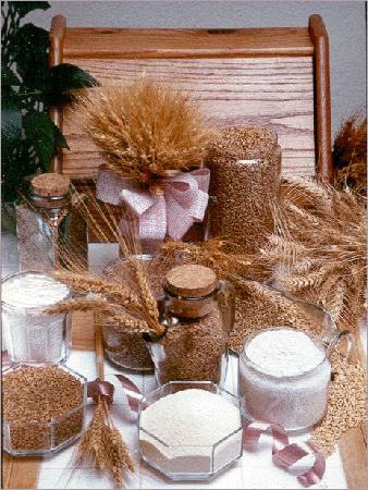 Wheat Flour
