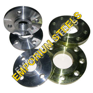 Silver Stainless Steel Flanges