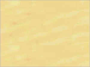 3D-160 Cellulose Based Gasket