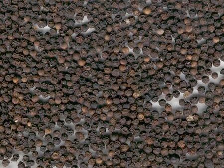 Black Pepper