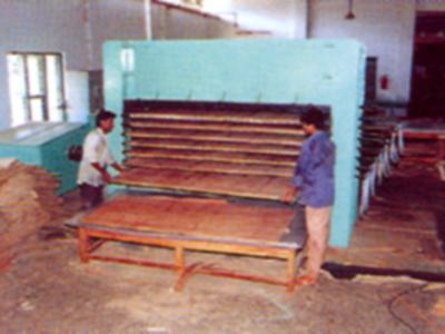 Plywood