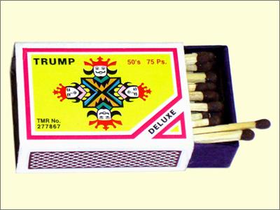 Card Board Trump Safety Matches