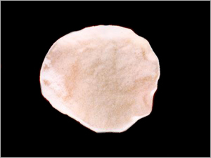 Papad manufacturers in chennai