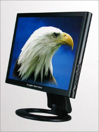 17" LCD Monitor