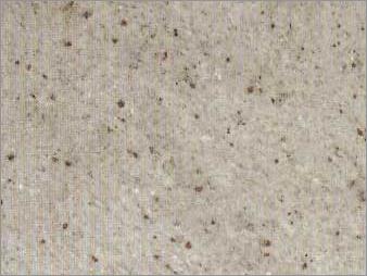 Kashmir White