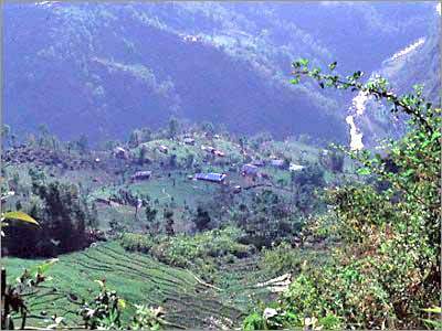 Sikkim Bakhim