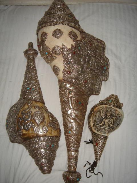 Shells - Shell with Silver Engraving, 2.5 to 30 Inches, Handcrafted Polished Finish