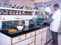 Laboratory
