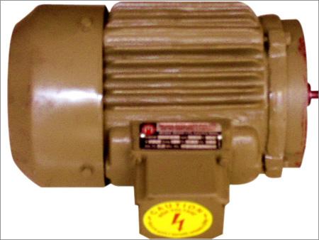Crane Duty Motor