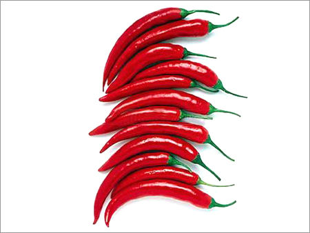 Fresh Red Chilli - Premium Quality, Vibrant Color, Rich Flavor, Spicy Aroma, Ideal for Culinary Use