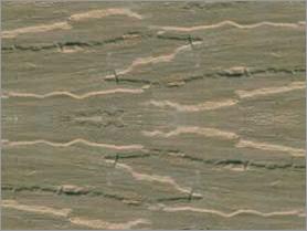 Grey Budhpura Natural Sandstone