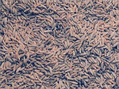 Cumin Seeds