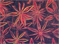 Star Ani Seeds