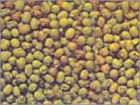 White Pepper