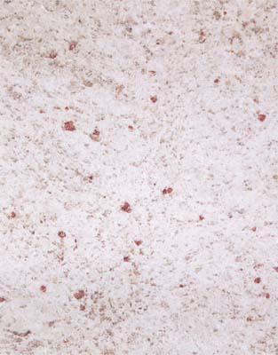 Granite