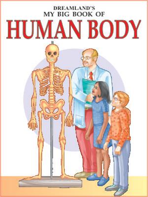 Human body