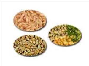 Spices-Comm