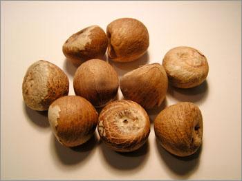 Spices- betelnut whole