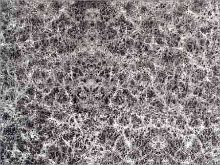Fungus Foil