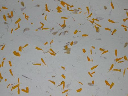 Handmade Paper & Products