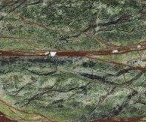 Picasso Green Polished Marble