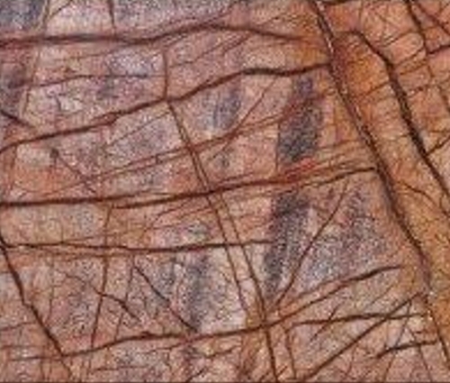 Picasso Brown Polished Marble