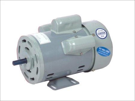 Electric Induction Motor / D1-550-1 H.P.