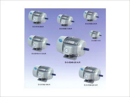 Induction Electric Motors