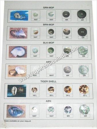 Sea Shell Buttons