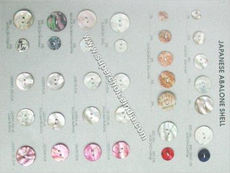 Abalone Shell Beads - Color: Multi Color