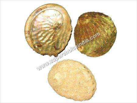 Java Shell Buttons