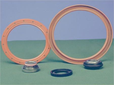 Oil Seals
