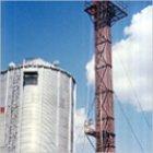 Bucket Elevator