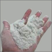 Fine Chemicals