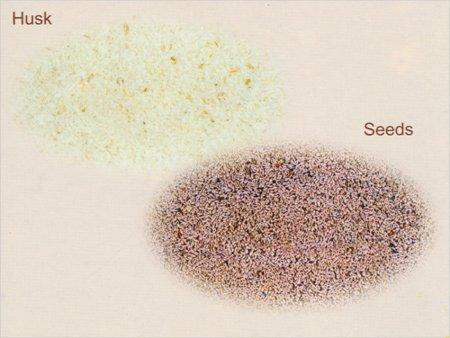 Psyllium Husk Seeds