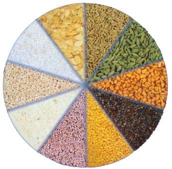 Seeds