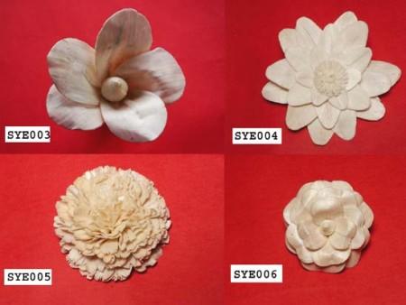 Dry Flowers