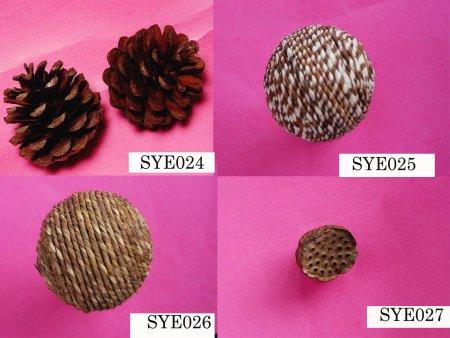 Dry Plants / Flowers