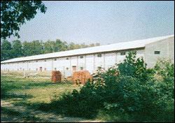 Industrial Buildings / warehouses