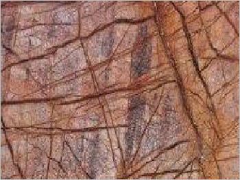 Forest Brown Marble