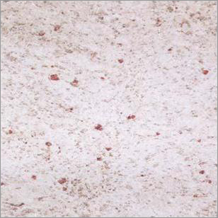 Kashmir White Granite