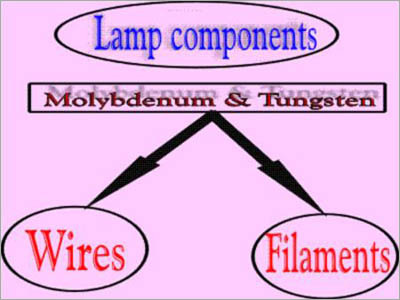Lamp Components