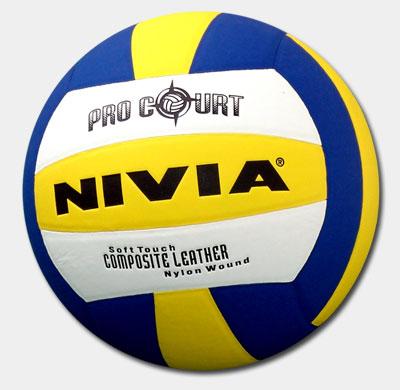 Pro Court (Volleyball)