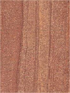 Desert Brown Sandstone
