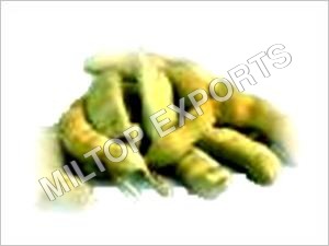 Tamarind